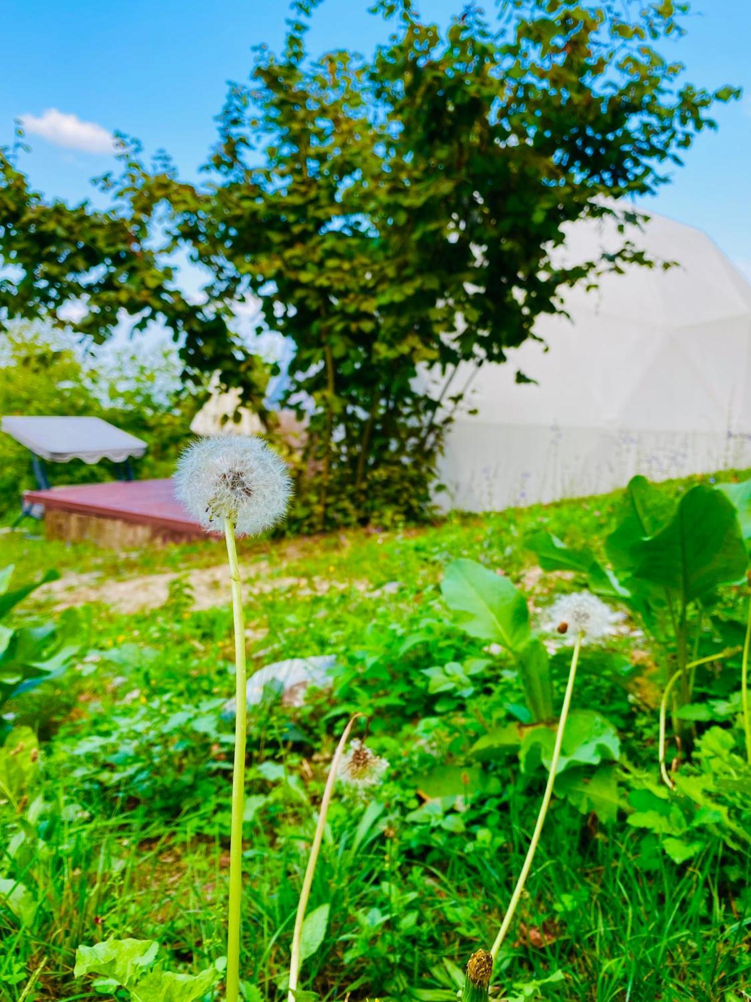 Phalesia Glamping Otel Sapanca Exterior foto