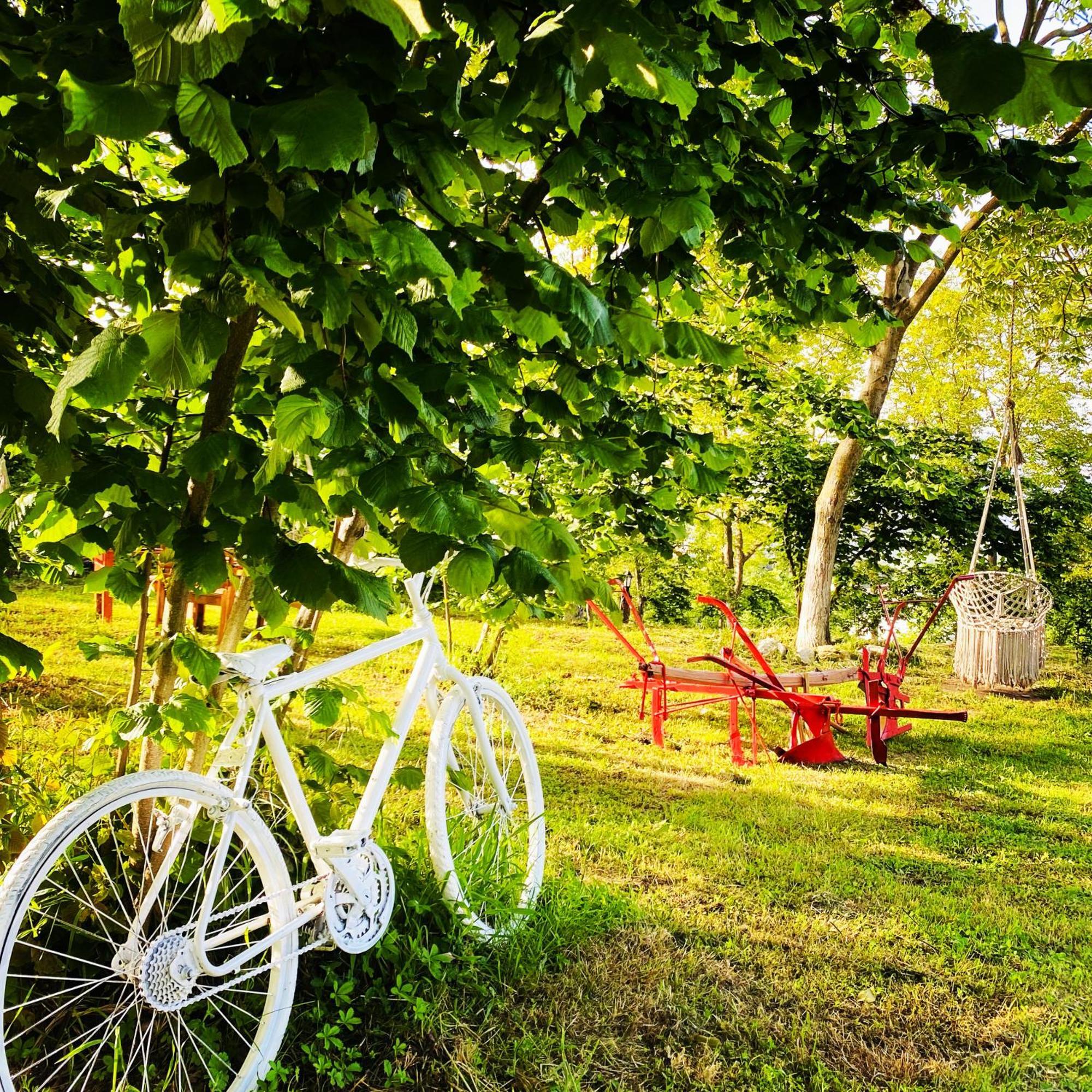 Phalesia Glamping Otel Sapanca Exterior foto